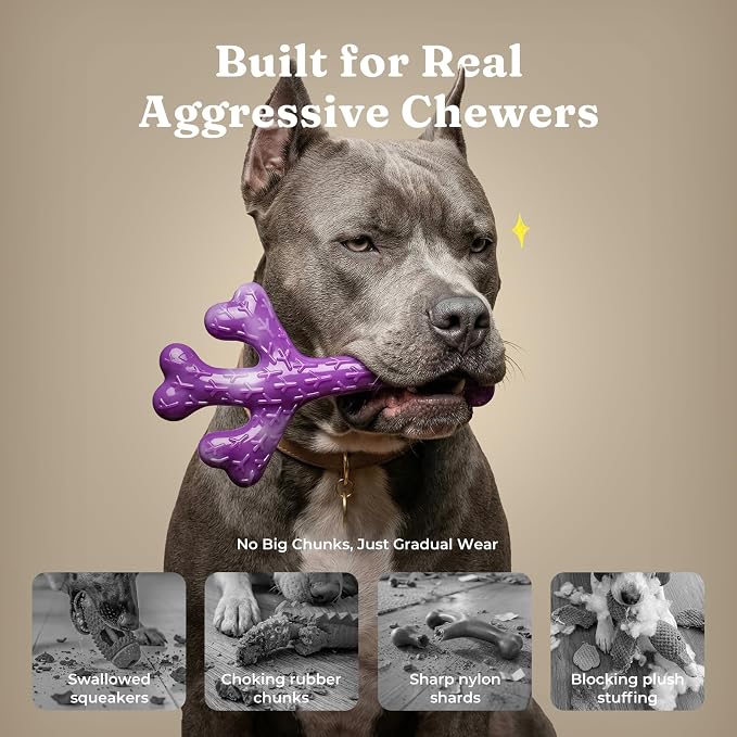 Frienhund 2 Pack Indestructible Dog Chew Toys for Aggressive Chewers - Textured Cactus with Grooves for Peanut Butter & Yogurt, Beef Nylon Bones for Large Dogs 20-90 lbs, Easy Chew & Long Lasting