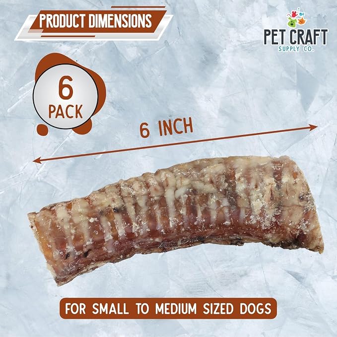 Pet Craft Supply Large 6" Buffalo Trachea Bones Dog Chews Treats 6 Pack for Aggressive Chewers Long Lasting Rawhide Free Premium Slow Roasted for Puppies Small Medium Large Dogs