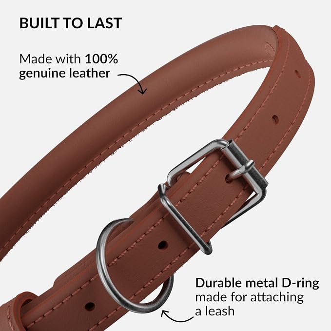 CollarDirect Rolled Leather Dog Collar, Soft Padded Round Puppy Collar, Handmade Genuine Leather Collar Dog Small Large Cat Collars 13 Colors (6 Inch, Cinnamon Smooth)