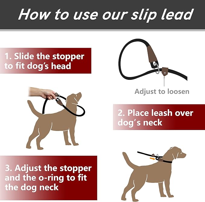 PetiFine Slip Lead Dog Leash,6FT x 1/2" Reflective Durable Dog Training Lead, Heavy Duty Adjustable Nylon Dog Rope Slip Leash for Small Medium Large Dogs (Blue)