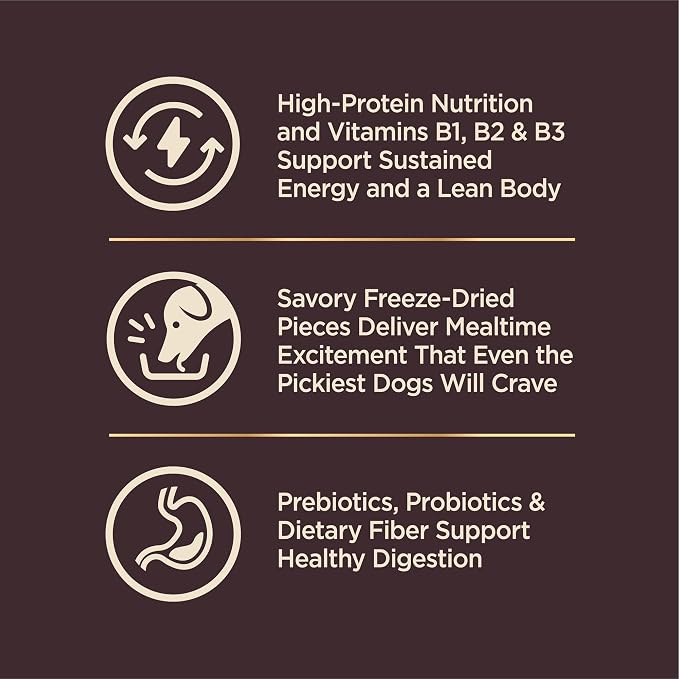Wellness CORE+ Dry Dog Food with Wholesome Grains, Natural Ingredients, Made in USA with Real Freeze-Dried Meat (Adult, Turkey, 4 lbs) (Pack of 2)