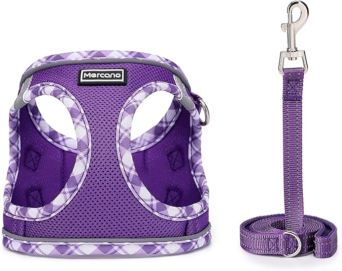 Mercano Soft Mesh Dog Harness and Leash Set, Step-in Reflective Breathable Lightweight Vest Harnesses with Safety Buckle for Small Dogs, Cats (XS, Purple)