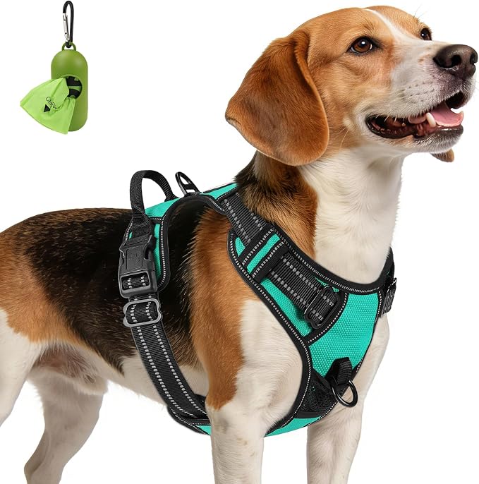 Joytale No Pull Dog Harness Medium Sized Dog, Reflective Pet Vest with Front Clip, Adjustable Soft Padded Harnesses with Easy Control Handle for Training and Walking, Teal, M