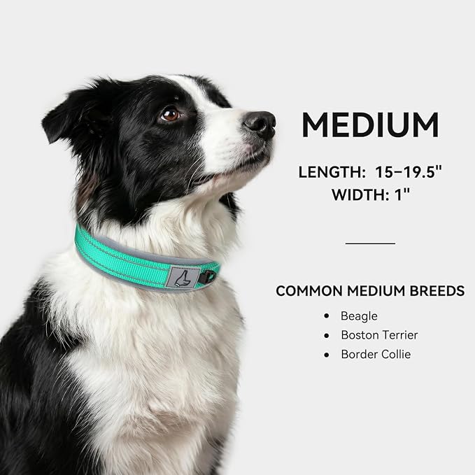 Joytale Dog Collar for Medium Dogs, Neoprene Padded and Adjustable, Reflective Wide Heavy Duty Pet Collars with Durable Metal Belt Buckle for Walking, Teal, M