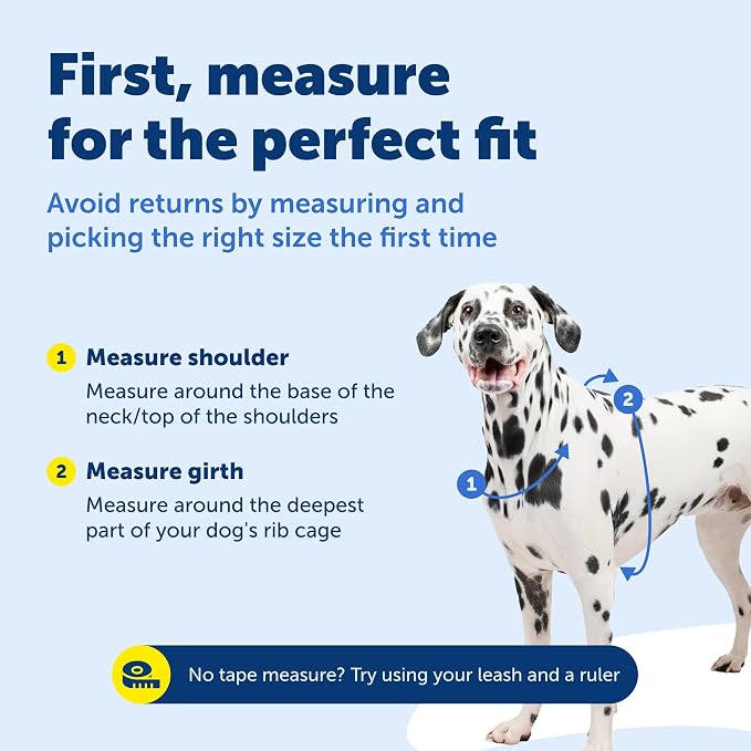 PetSafe 3 in 1 No-Pull Dog Harness for Large Dogs - Walk, Train or Travel - Helps Pets from Pulling on Walks - Seatbelt Loop Doubles as Quick Access Handle - Reflective- Large, Plum