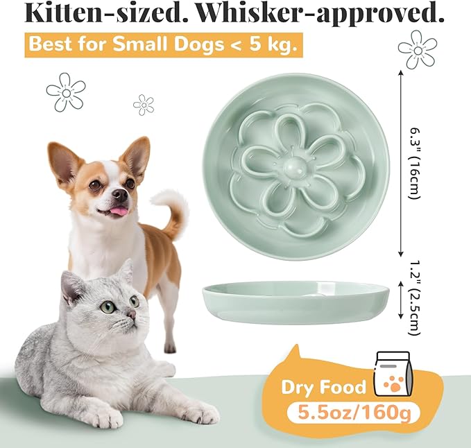 Melamine Cat Slow Feeder Bowl Set - Floral Maze Food Dishes for Cats and Small Dogs - Shallow Wide Plates for Dry & Wet Food - 3 Pack - White & Green & Blue