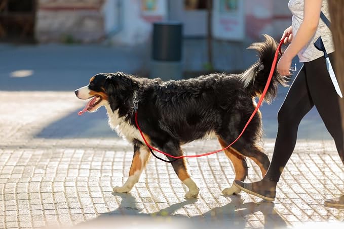TwoEar 4FT 1IN Strong Red Dog Leash with 2 Padded Handles, Traffic Handle Extra Control, Comfortable Soft Dual Handle, Auto Lock Hook, Reflective Walking Lead for Small Medium and Large Dogs
