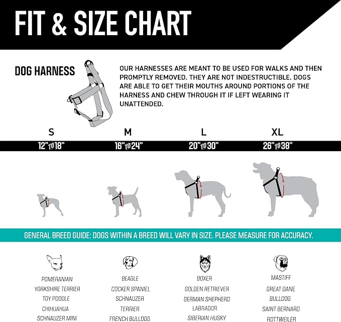 Wolfgang Heavy Duty Adjustable Dog Harness, Pull-Tested to Over 800 lbs for Walking & Training, LostArt Print, Extra Large