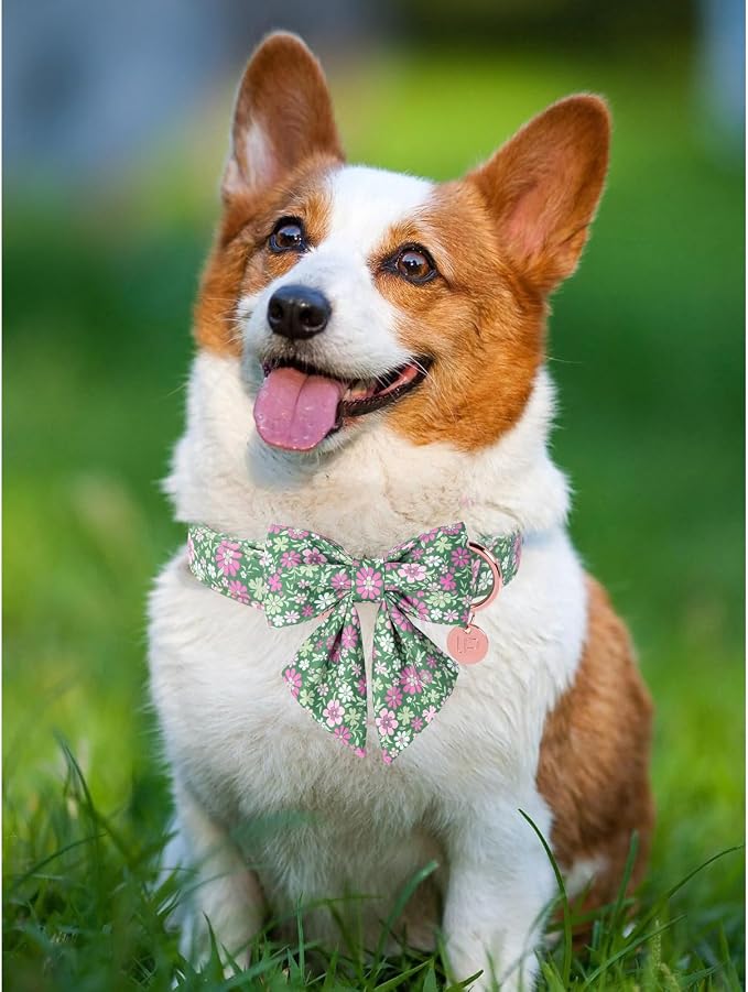 St. Patrick's Day Dog Collar with Bow Tie, Lucky Shamrock Bowtie Collar Adjustable for Girl Boy Dog, Trefoil Dog Collar Durable, Spring Green Collar for Dogs, XS