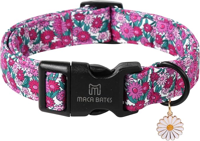 Maca Bates Spring Purple Floral Dog Collar for Dogs with Pretty Daisy Charm and Safety Bcukle Adjustable Durable Soft Basic Collars for Small Dog