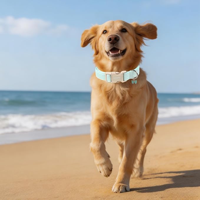 DOGWONG Green Dog Collar, Spring Summer Stripped Dog Collar with Plastic Buckle,Soft Cotton Dogs Collars for Small Medium Dogs, Neck 11-16 inches