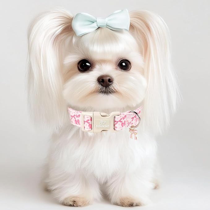 Pink Bow Dog Collar Cute Girl Dog Collars for Puppy Small Dogs - Lightweight Adjustable Girly Spring Female Dogs Everyday Collar with Safety Buckle XS