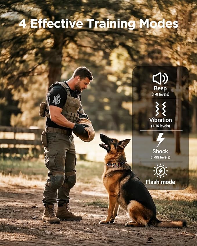 BLACKDOG Military Dog Shock Collar - 4200ft Dog Training Collar with Remote, 4 Training Modes, Flashlight & Strobe, 3-Month Battery, IP67 Waterproof Dog E Collar for All Breeds 5-150lbs (Orange)