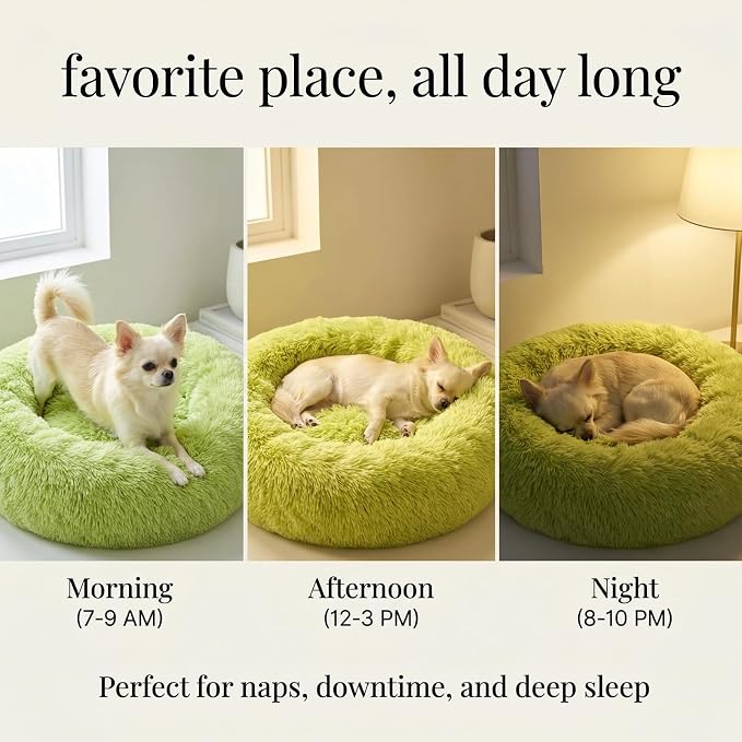 Calming Donut Dogs Beds for Small Dogs Washable,19inch Fluffy Round Puppy Bed for Puppies,Cats & Toy Breeds with Raised Rim,Fits up to 15 lbs Pets,Green