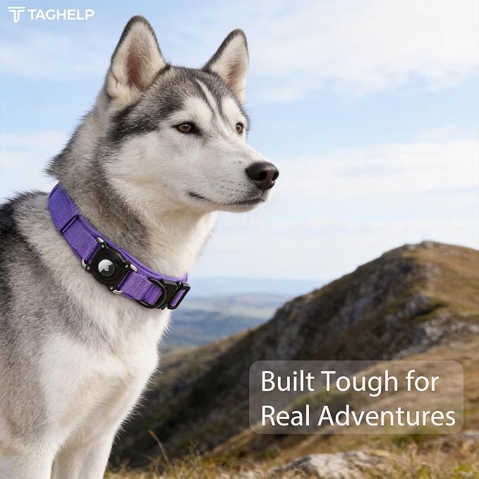 Tactical AirTag Dog Collar with Waterproof Holder(1st/2nd Generation) | Military-Grade Adjustable Collar, Comfortable Control Handle & Metal Buckle for Medium Dogs，Smart QR ID tag (Purple, M)