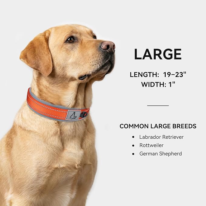 Joytale Dog Collar for Large Dogs, Neoprene Padded and Adjustable, Reflective Wide Heavy Duty Pet Collars with Durable Metal Belt Buckle for Walking, Orange, L