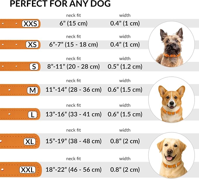 CollarDirect Rolled Leather Dog Collar, Soft Padded Round Puppy Collar, Handmade Genuine Leather Collar Dog Small Large Cat Collars 13 Colors (6-7 Inch, Orange Textured)