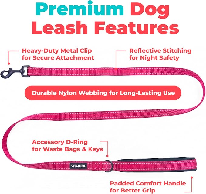 Best Pet Supplies Voyager Reflective Dog Leash or Collar with Neoprene Handle, for Small, Medium, and Large Breed Puppies, Cute and Heavy Duty for Walking, Running and Training - Fuchsia Leash, L