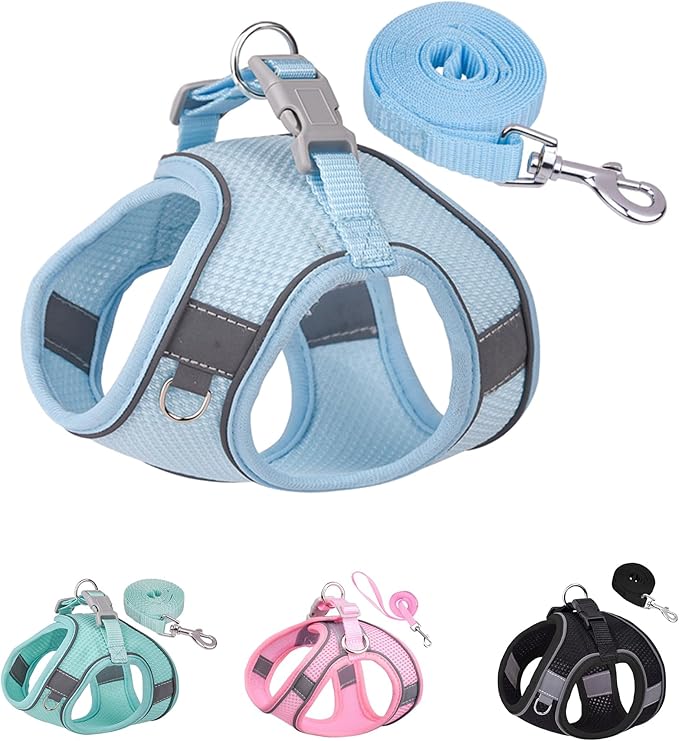 SOLMOONY Dog Harness for Small Medium Large Dogs No Pull, Puppy and Leash Set, Dogs, Step in Harness, mesh Harness. (Bule, XS)