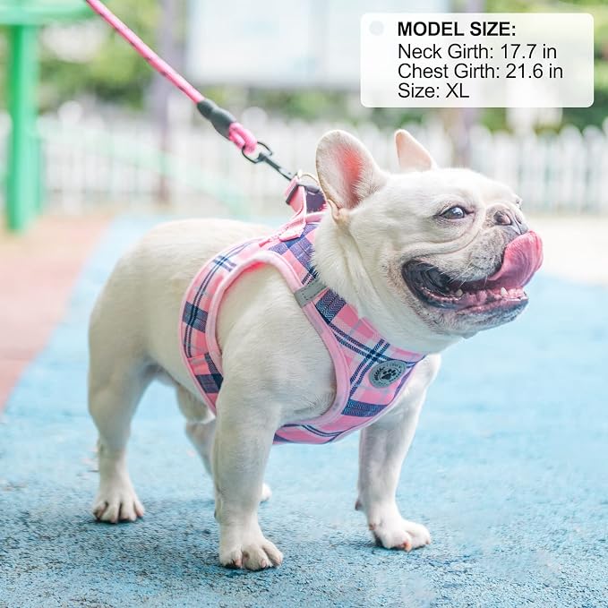 BEAUTYZOO Small Dog Harness and Leash Set,Step in No Choke No Pull Soft Mesh Dog Harnesses Reflective for Extra-Small/Small Medium Puppy Dogs and Cats, Plaid Dog Vest Harness for XS S Pets, Pink L