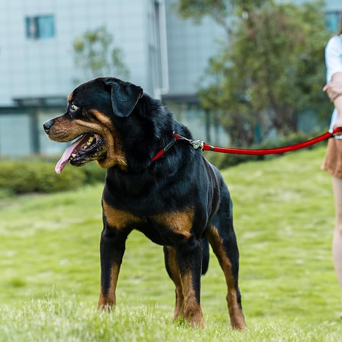 Dog Leash, Braided Rope Traction – Walking Training Lead for Medium/Large Dogs ((1/2") x 2FT, Red)