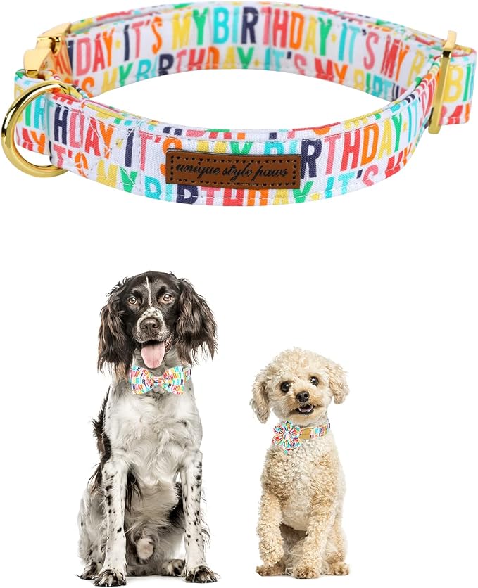 Unqiue Style Paws Birthday Dog Collar, Soft and Cute Dog Bow Tie, Durable Pet Collar with Bow Adjustable Bow Dog Collar for Medium Dogs