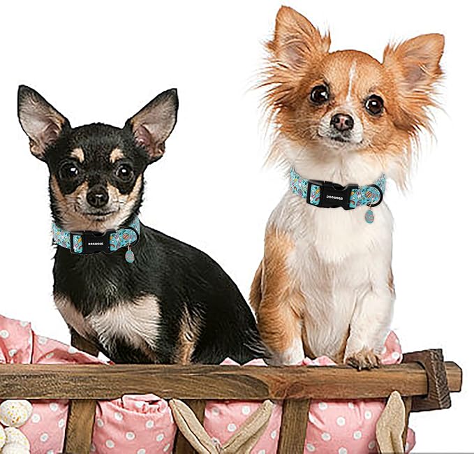 DOGWONG Easter Dog Collar- Cute Blue Babbit Egg Dog Collars Adjustable Designer Easter Day Puppy Heart Dog Collar for Small Medium Large Dogs M