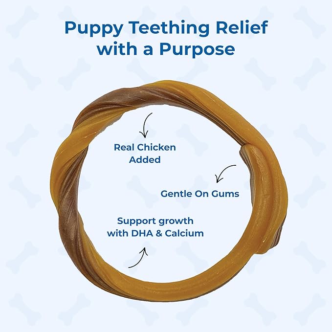 N-Bone Puppy Teething Rings Taste of Texas Pulled Pork Flavor 3 Count