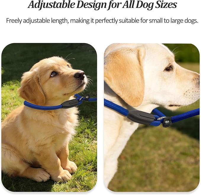 2-Pack Adjustable Nylon Slip Dog Lead – Collar-and-Leash Integrated Design for Training (Black/Blue)
