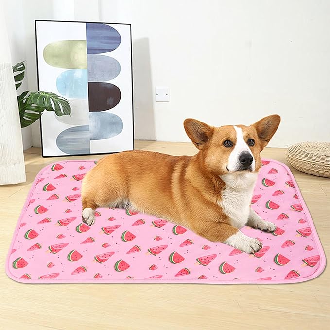 DELIFUR Dog Cooling Mat- Pet Cooling Mat Outdoor for Dogs Ice Pad for Puppy Small Medium Dog Machine Washable (Large, Pink Watermelon)