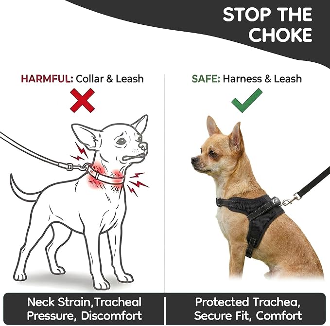 No Pull Reflective Adjustable Dog Harness With Handle- Comfortable Soft All Weather Mesh, Easy On Puppy Harness For Small Medium and Large Dogs (Black) X-Small