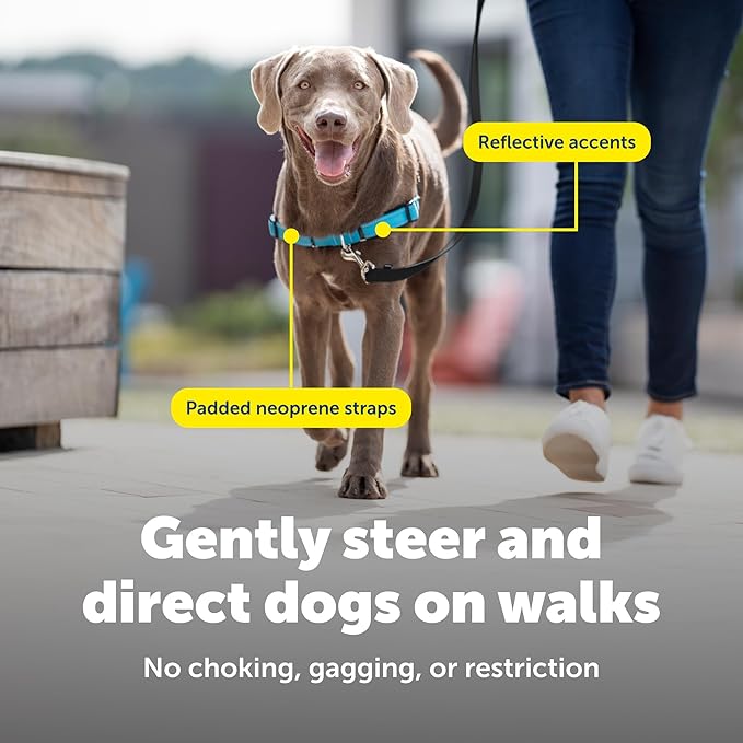 PetSafe Easy Walk Deluxe Dog Harness, No Pull Dog Harness Perfect for Leash & Harness Training Stops Pets from Pulling and Choking on Walks Large, Ocean