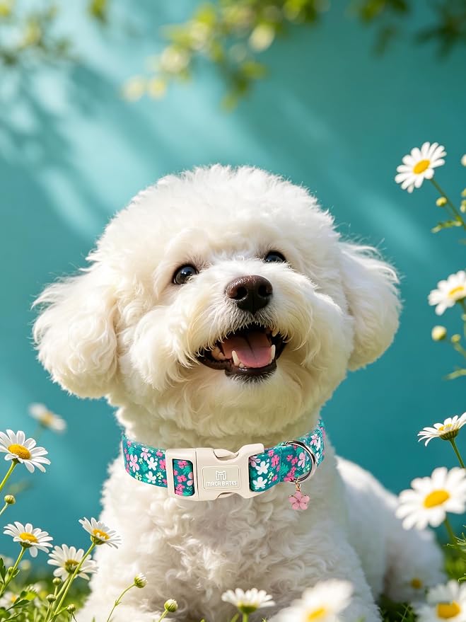 Maca Bates Spring Green Floral Dog Collar with Cherry Charm for Large Girl Boy Dogs, Pink Flower Pattern,Pretty Blossom Adjustable Durable Soft Flowers Collars Gift for Male Female Puppy