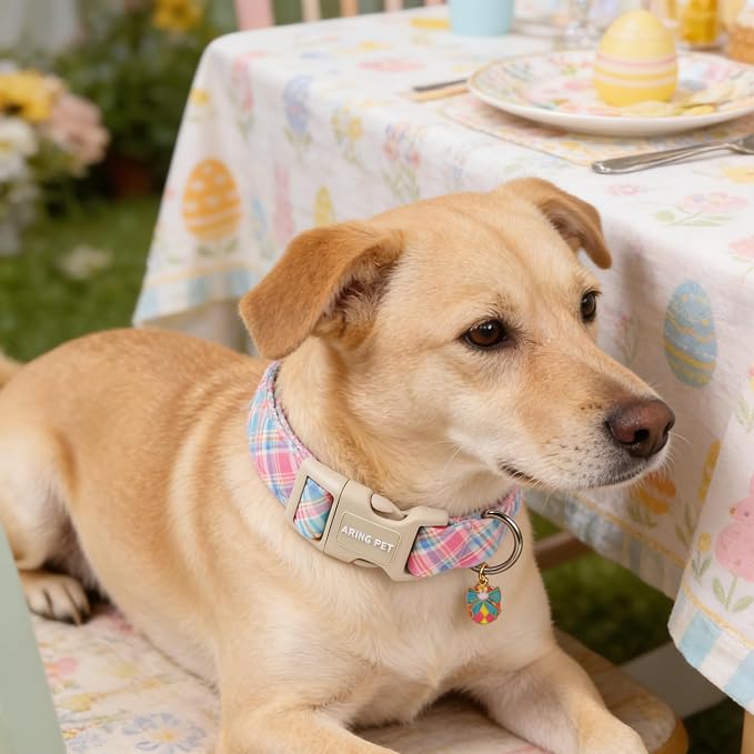 ARING PET Easter Dog Collar, Cute Colorful Plaid Stripe Girl Doggy Collars with Quick Release Buckle for Puppy Small Medium Large Dogs-XS