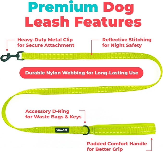 Best Pet Supplies Voyager Reflective Dog Leash or Collar with Neoprene Handle, for Small, Medium, and Large Breed Puppies, Cute and Heavy Duty for Walking, Running and Training - Lime Green (Leash), S