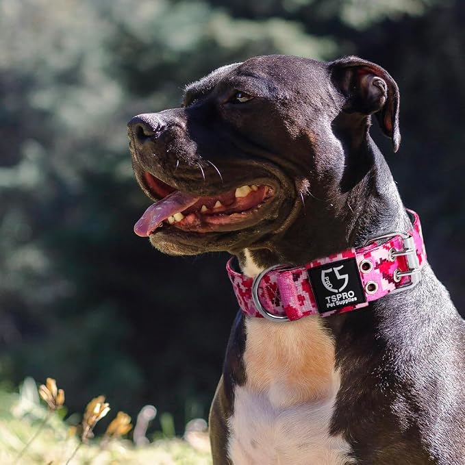 TSPRO Tactical Dog Collar, Adjustable, with Patch & Double Needle Metal Buckle, Heavy Duty for Large to Extra Large Dogs, Durable for Walking, Running, Hiking & Training (Camo Blue L-XL)