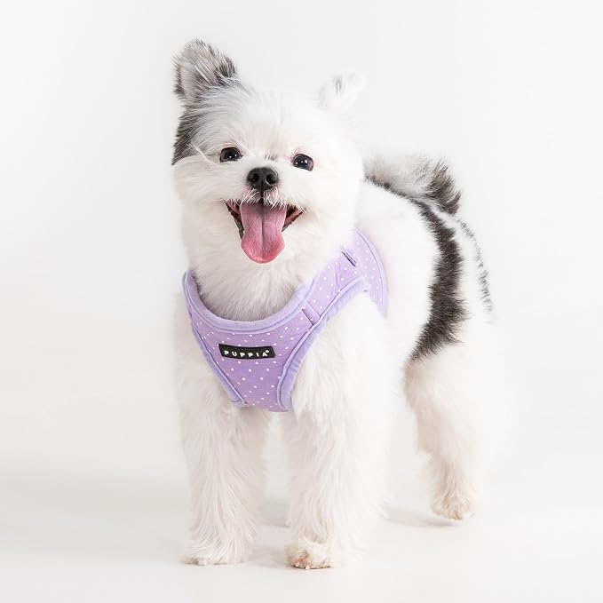 Puppia Dotty Dog Vest Harness B (Step-in) Fashionable Polka Dot Pattern Spring Summer Harness for Small Dogs, Violet, Large