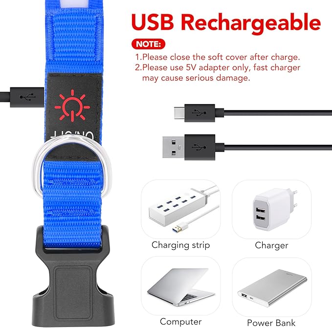 Vizpet LED Dog Collar, Light Up Dog Collar Adjustable USB Rechargeable Super Bright Safety Light Glowing Collars for Dog(Large,Blue)