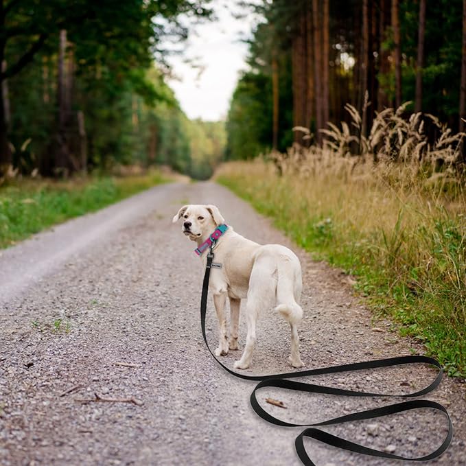 Wolfone 20ft Black Long Leash - Waterproof Training Dog Leash for Recall, Swimming, Camping, Beach, Hunting, Walking