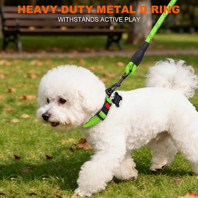 Taglory Reflective Dog Collar for Small Dogs, Soft Neoprene Padded with Escape-Proof Locking Buckle, Upgraded Zinc Alloy Ring, Adjustable Nylon Collar for Walking, Green,S