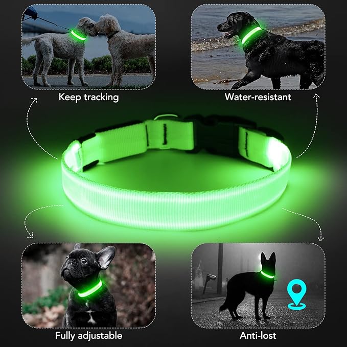 Light Up Dog Collar, Rechargeable USB Collar, Waterproof, Luminous LED Collar, Adjustable, Super Bright, Night Walking for Small Medium Large Dogs, Green, L