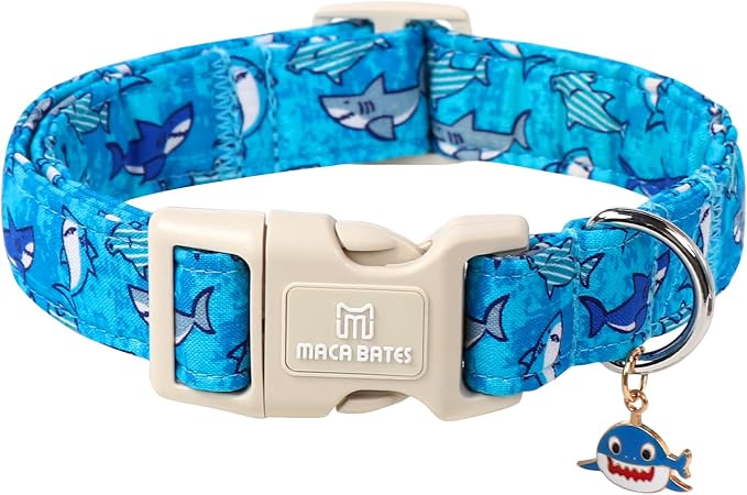 Maca Bates Summer Shark Basic Dog Collar Beach Puppy Collars for Extra Small Dogs Adjustable Durable Soft Comfortable Blue Sharks for Boy Girl Male Female Pet with White Safety Buckle