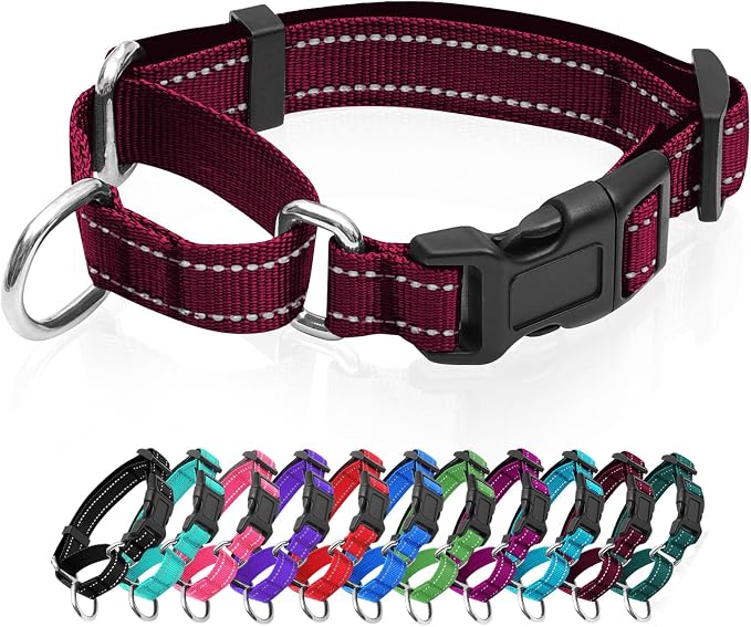 Reflective Martingale Dog Collars. Dog Collar with Quick Release Buckle. Adjustable Soft Padded Breathable Nylon Pet Collar Suitable for Puppies for Small Medium Large Dogs.
