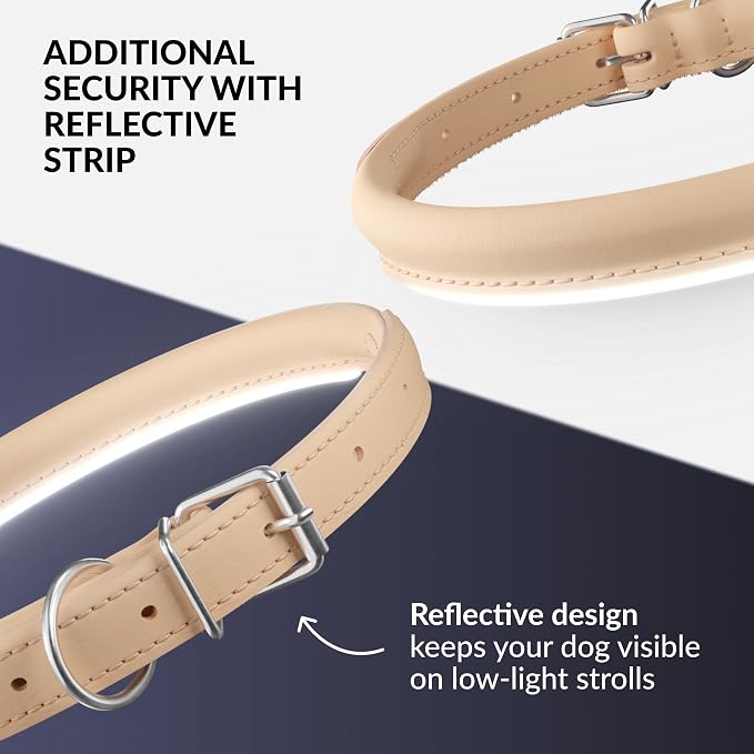 CollarDirect Reflective Rolled Leather Dog Collar, Soft Padded Round Puppy Collar, Handmade Genuine Leather Collar Dog Small Large Cat Collars 13 Colors (13-16 Inch, Beige Reflective)