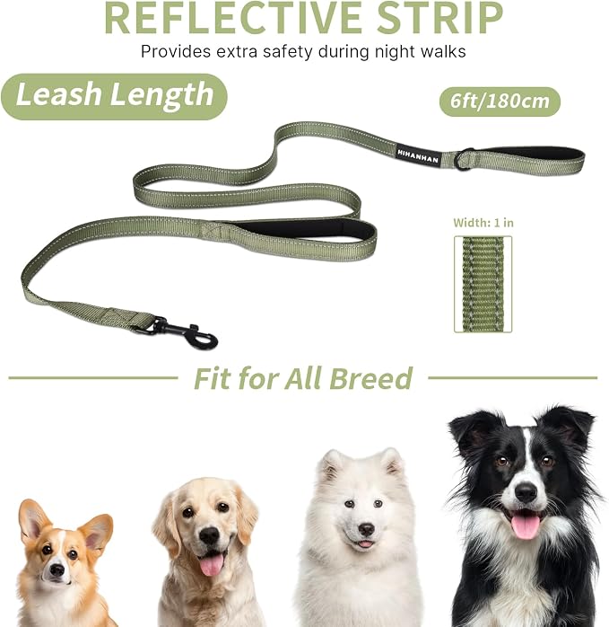 Reflective Dog Leash with Double Handle, Dog Leash 6 FT Long, Supports Medium, and Large Dogs, Heavy Duty for Walking, Running, and Training, Green