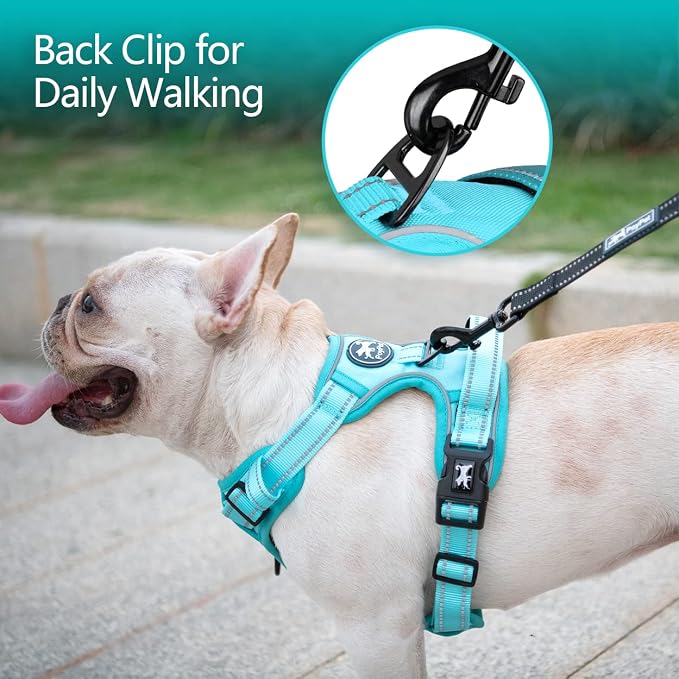 PoyPet No Pull Dog Harness, No Choke Reflective Dog Vest, Adjustable Pet Harnesses with Easy Control Padded Handle for Small Medium Large Dogs(Mint Blue Matching Trim,S)