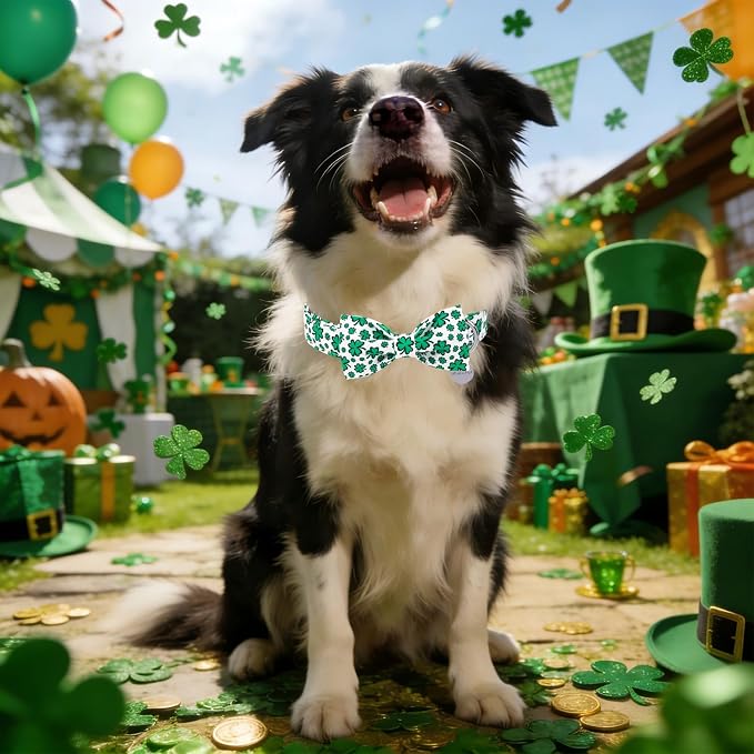 St. Patrick's Day Dog Collar with Bow Tie, Spring Shamrock Bowtie Collar for Girl Boy Dog, Lucky Clover Dog Collar with Metal Buckle, Green Collar for Dogs, M