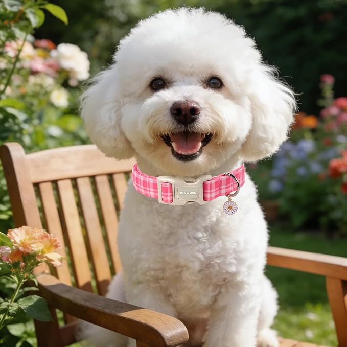 DOGWONG Pink Plaid Dog Collar for Girl Dogs, Pink Checked Dog Collars, Adjustable Soft Cute Pink Dogs Collars for Medium Lrage Dogs, Neck 39-60 inches