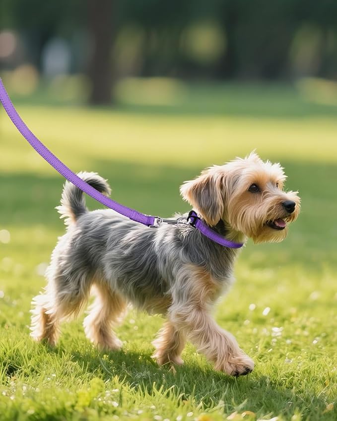 Joytale Dog Collars for Small Dogs, Feather-Light Double-Sided Reflective Nylon Collar for Night Safety, Adjustable Quick-Release for Growing Puppies, Purple, S (5/8" Width)