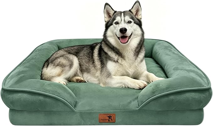 Spotted Play Orthopedic Dog Bed with Sides - Sofa Beds for Large Dogs, Supportive Foam Pet Couch Bed with Washable Removable Cover, Waterproof Lining and Non-Slip Bottom, Green - L-Plus